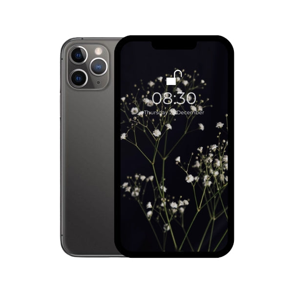 iPhone 11 pro max black