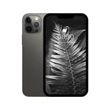iPhone 12 pro max grey