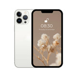 iPhone 13 pro white