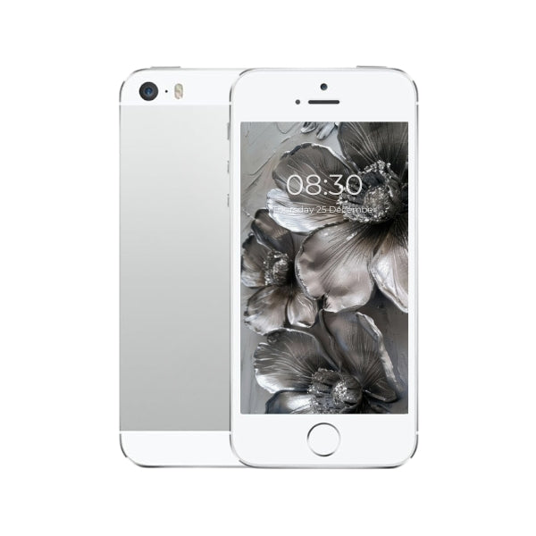 iPhone 5S silver