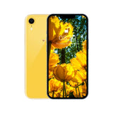 iPhone xr yellow
